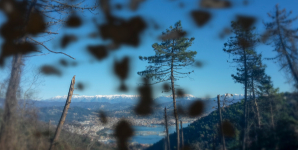 about us image